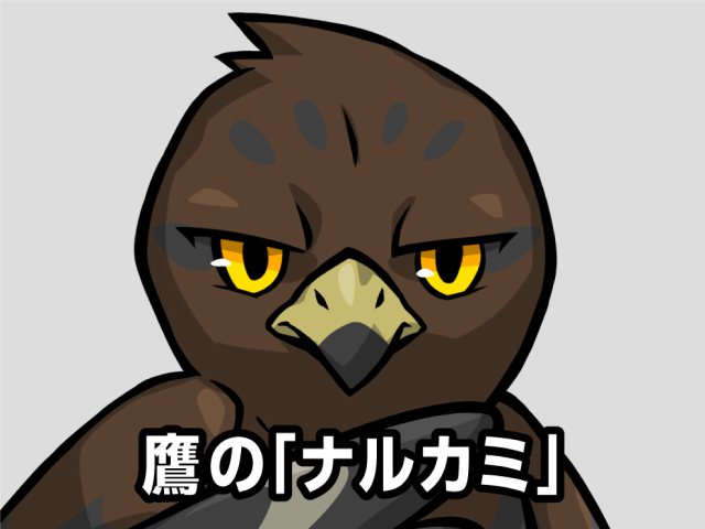 鷹の「ナルカミ」