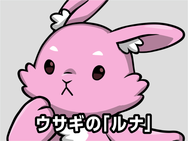 ウサギの「ルナ」